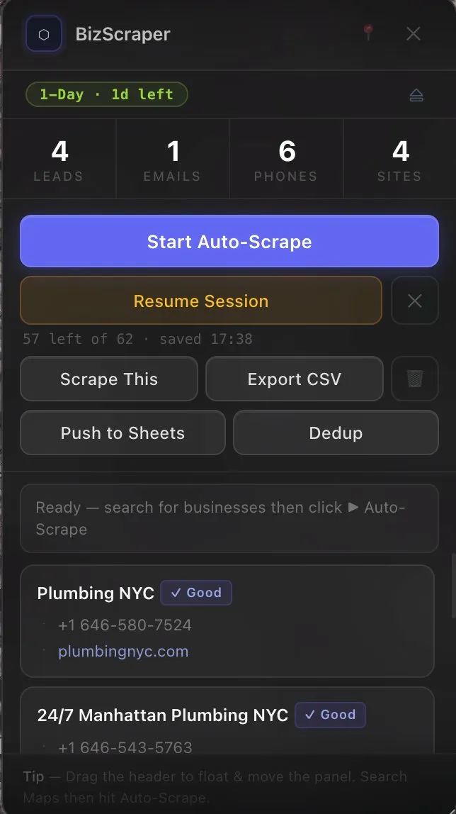 BizScraper running auto-scrape